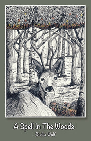 A Spell In The Woods
