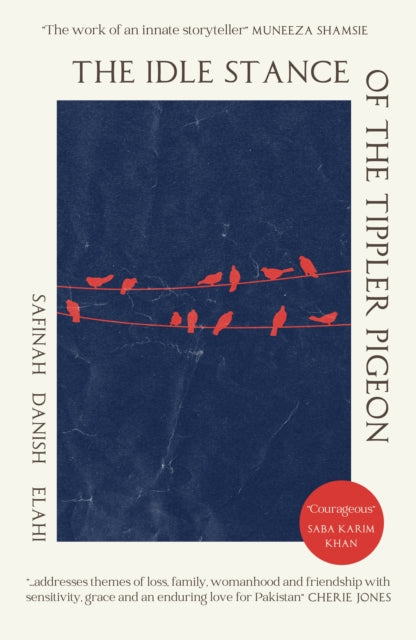 Idle Stance Of The Tippler Pigeon By Danish Elahi, S
