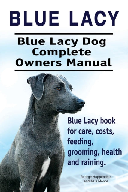 Blue Lacy. Blue Lacy Dog Complete Owners