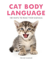 Cat Body Language 100 Ways To Read The