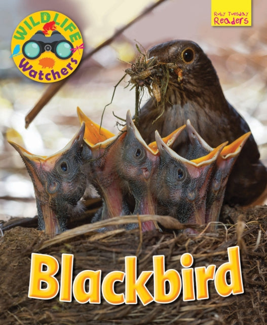 Wildlife Watchers Blackbird