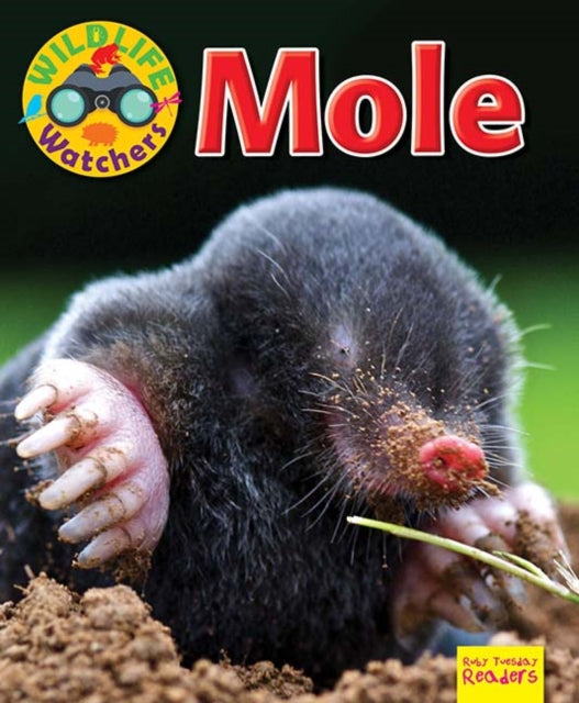 Wildlife Watchers Mole