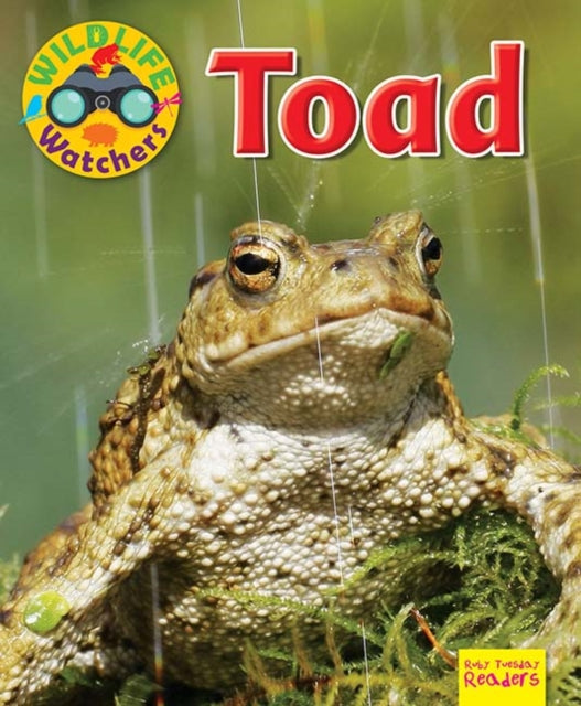 Wildlife Watchers Toad