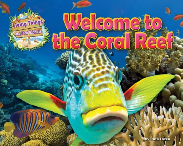 Welcome To The Coral Reef
