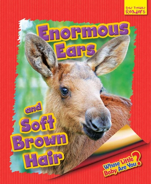 Whose Little Baby Are You Enormous Ears