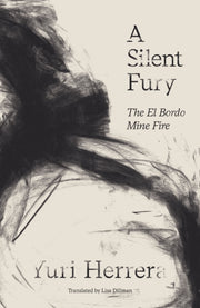 Silent Fury The El Bordo Mine Fire