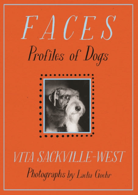 Faces Profiles Of Dogs