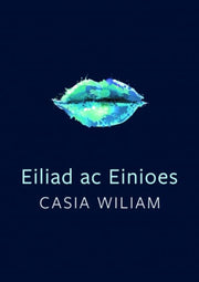 Tonfedd Heddiw Eiliad Ac Einioes