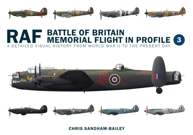 Battle Of Memorial Flight In Profile