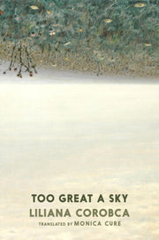 Too Great A Sky