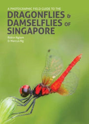 Dragonflies Damselflies Of Singapore