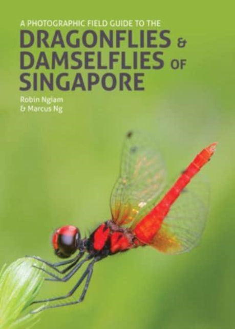 Dragonflies Damselflies Of Singapore