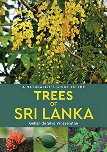 Trees Of Sri Lanka