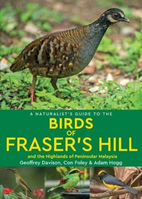 Naturalists Guide To The Birds Of Fraser By Davison, Geoffrey