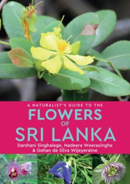 Naturalists Guide To The Flowers Of Sri By Singhalage, Darshani