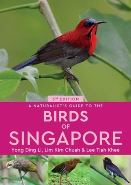 Naturalists Guide To The Birds Of Singap By Li, Yong Din
