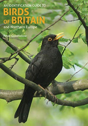 Identification Guide To Birds Of Britain