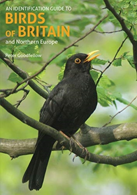 Identification Guide To Birds Of Britain