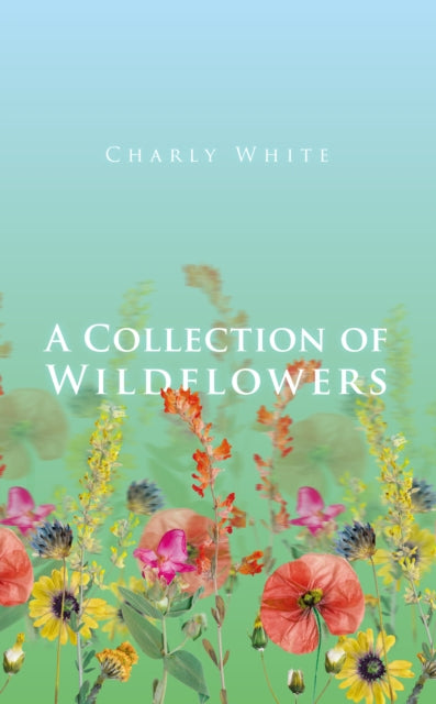 Collection Of Wildflowers