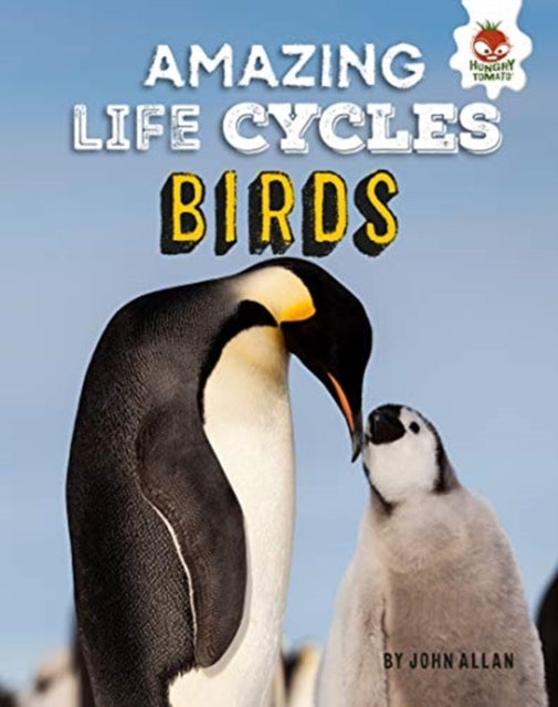 Amazing Lifecycles Birds