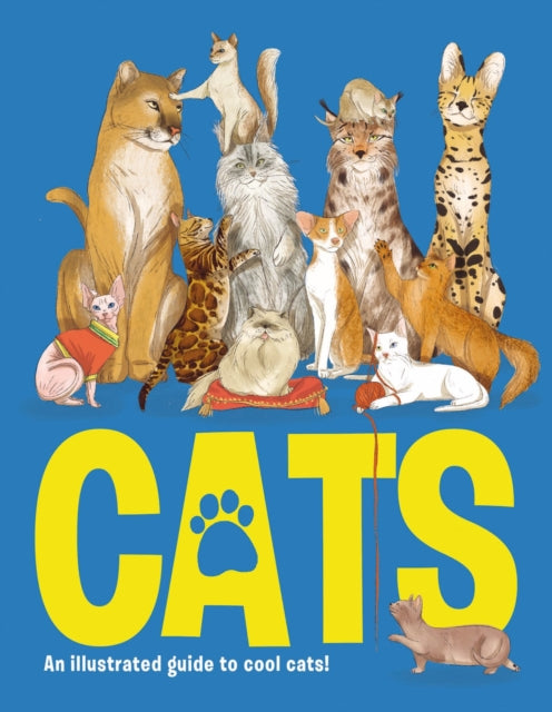 Cats By Kington, Emily