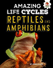 Amazing Lifecycles Reptiles