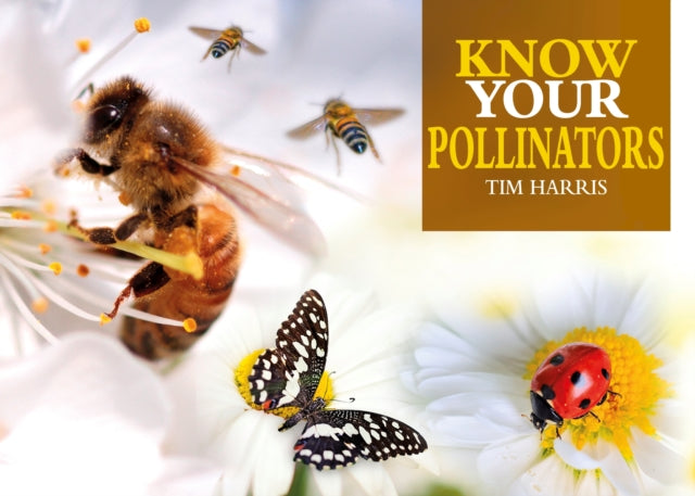 Know Your Bees & Other Pollinators