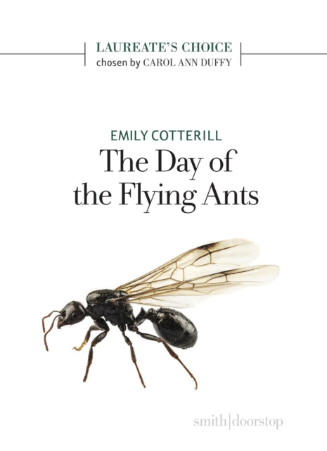 Day Of The Flying Ants