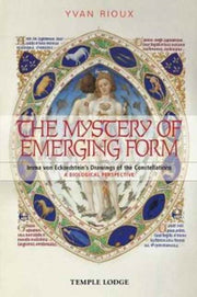 Mystery Of Emerging Form By Rioux, Yvan