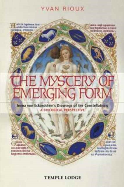 Mystery Of Emerging Form By Rioux, Yvan