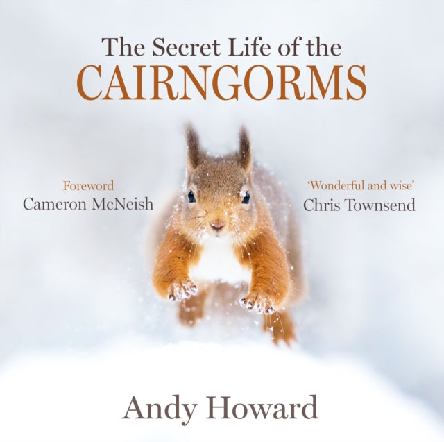 Secret Life Of The Cairngorms