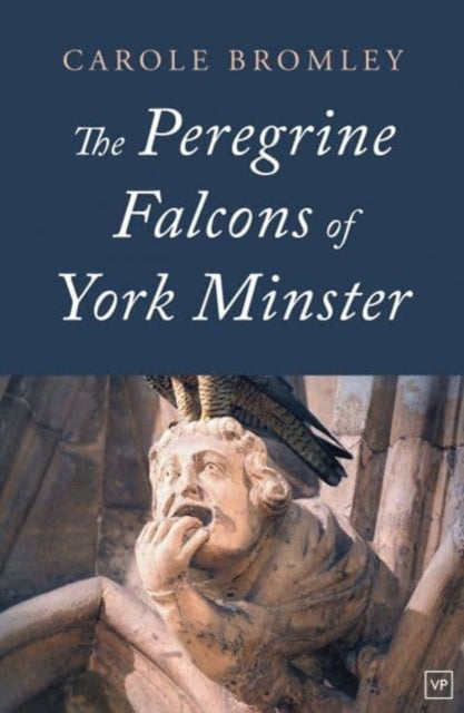 Peregrine Falcons Of York Minster