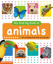 Animals By Picthall & Gunzi