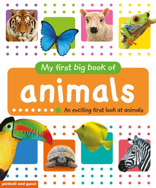 Animals By Picthall & Gunzi