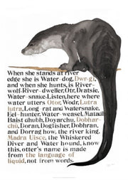 Names Of The Otter