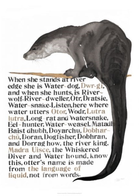 Names Of The Otter