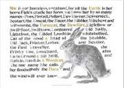 Names Of The Hare