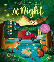 What Can You See At Night