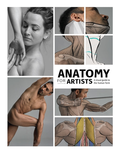 Anatomy For Artists