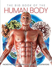 Big Book Of The Human Body By Big Book Of The Human Body