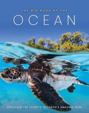 Big Book Of The Ocean By Big Book Of The Ocean