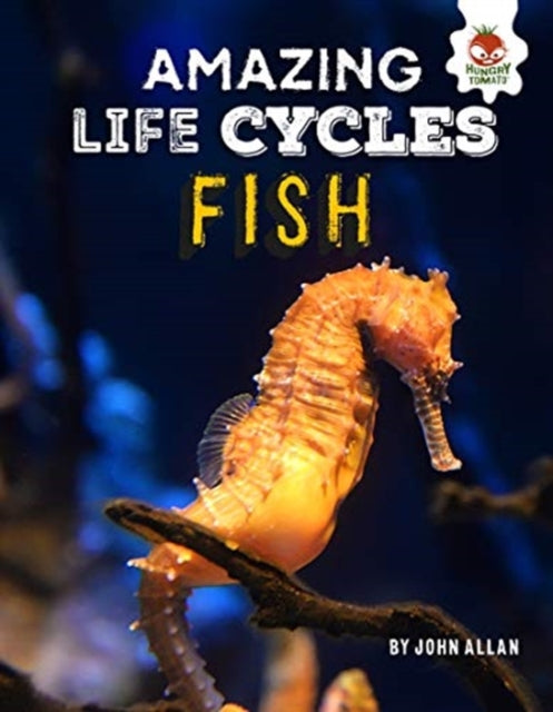 Amazing Lifecycles Fish