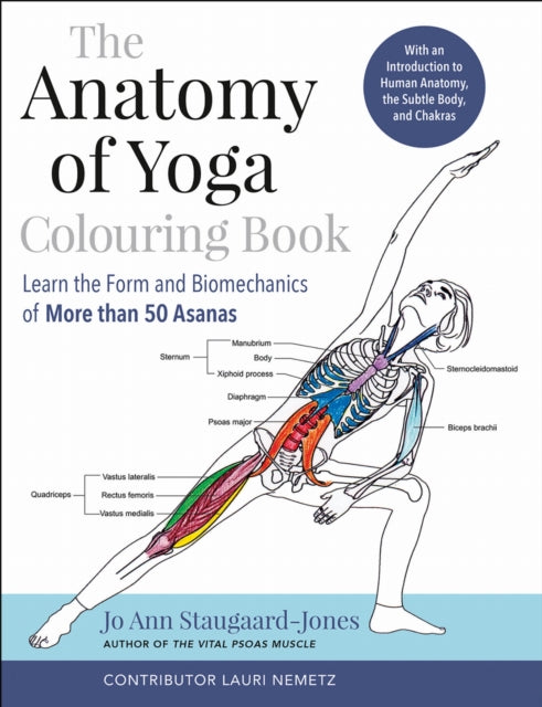 Anatomy Of Yoga Colouring Book By Staugaard-jones, Jo