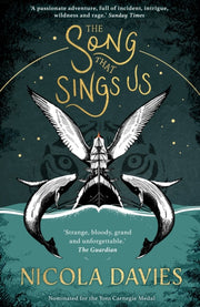 Song That Sings Us By Davies, Nicola
