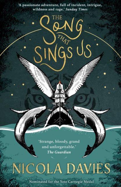 Song That Sings Us By Davies, Nicola