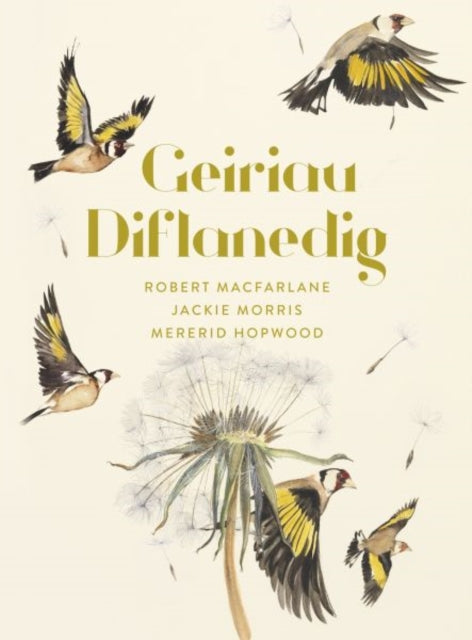 Geiriau Diflanedig (lost Words In Welsh)