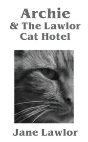 Archie   The Lawlor Cat Hotel
