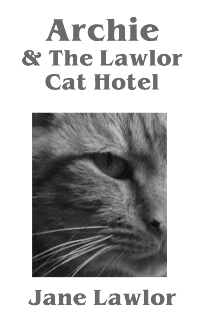 Archie   The Lawlor Cat Hotel