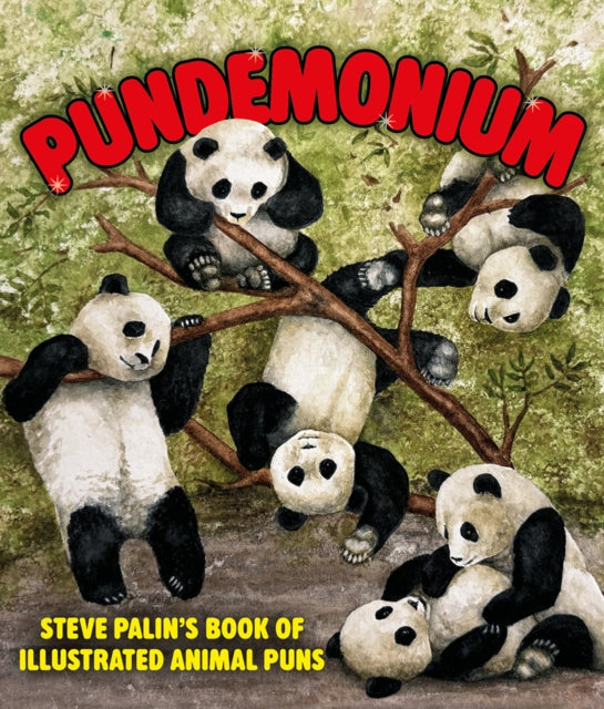 Pundemonium By Palin, Steve