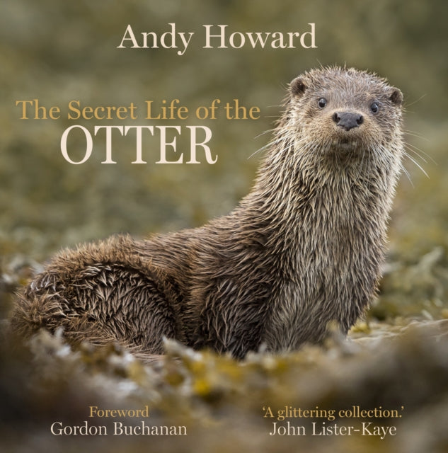 Secret Life Of The Otter By Howard, Andy